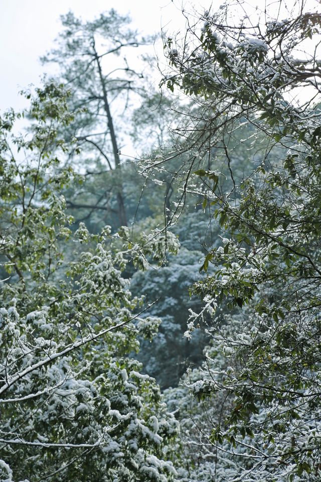 @福建人，難遇南方的今天打雪仗了嗎