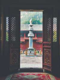 禮拜玄中寺