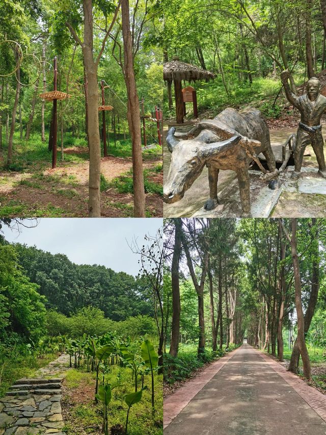 荊門太子山國家森林公園