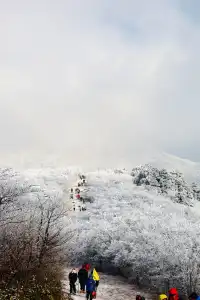 不是四姑娘山去不起，而是龍王山更有性價比