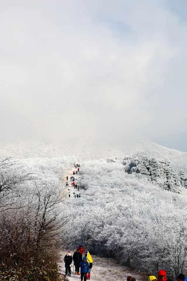 不是四姑娘山去不起，而是龍王山更有性價比