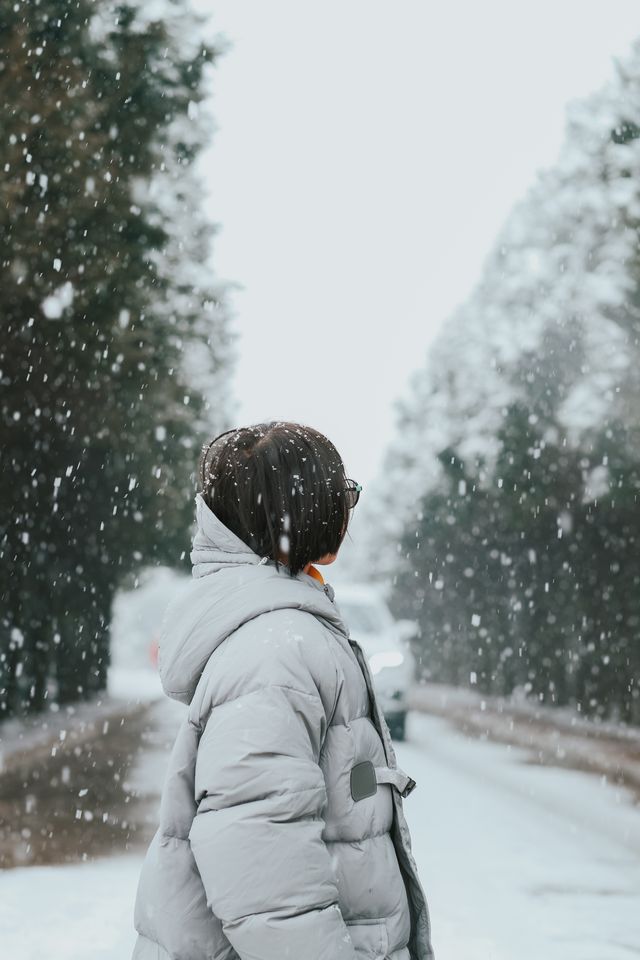 秦始皇陵大雪記