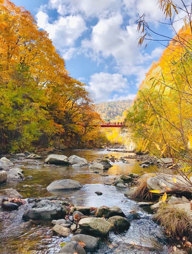 札幌人的後花園——定山溪溫泉！