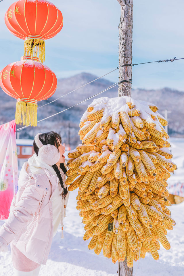 哈爾濱旅行丨比起雪鄉我更喜歡雪谷