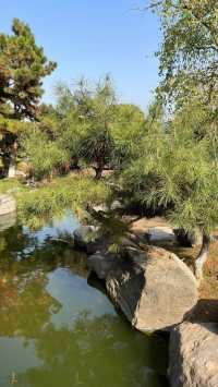 陝西西安唐苑新中式打卡地園林公園