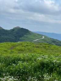 貴州都匀螺絲殼貴州也有自己武功山