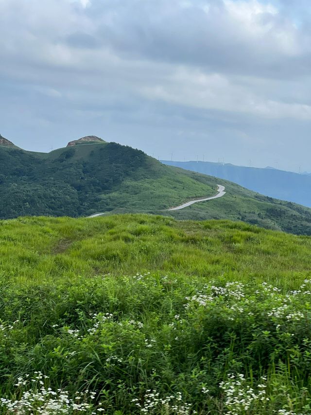 貴州都匀螺絲殼貴州也有自己武功山