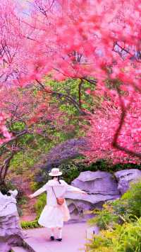 重慶春日賞花彩雲湖畔梅花盛放~攻略