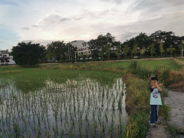 九嶷山上白雲飛,帝子乘風下翠微