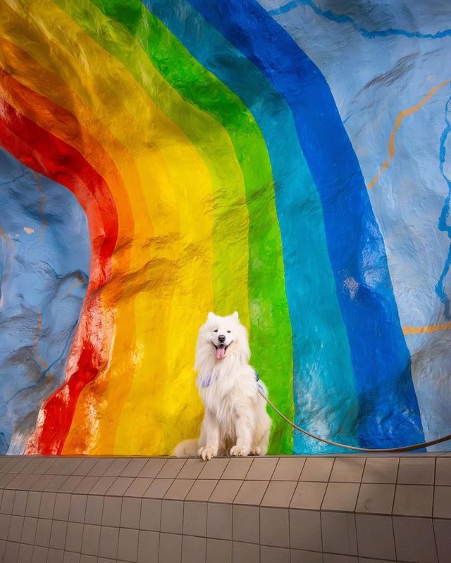 😍🇸🇪 Have you ever seen such vibrant metro stations before? Share your favorite city for unique urban art experiences! 🌍✨