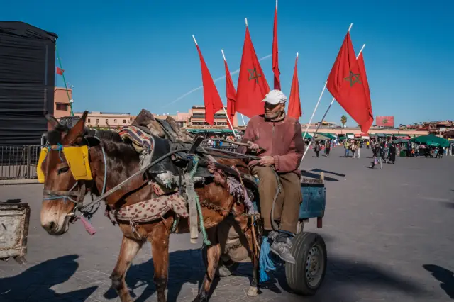 The Past and Present of Morocco's Sleepless Square