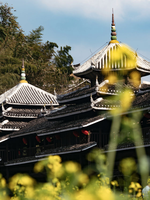 柳州旅遊｜邂逅程陽八寨的春天