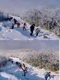 雪後徒步上龍王山，都不想下來了，原來是因為她