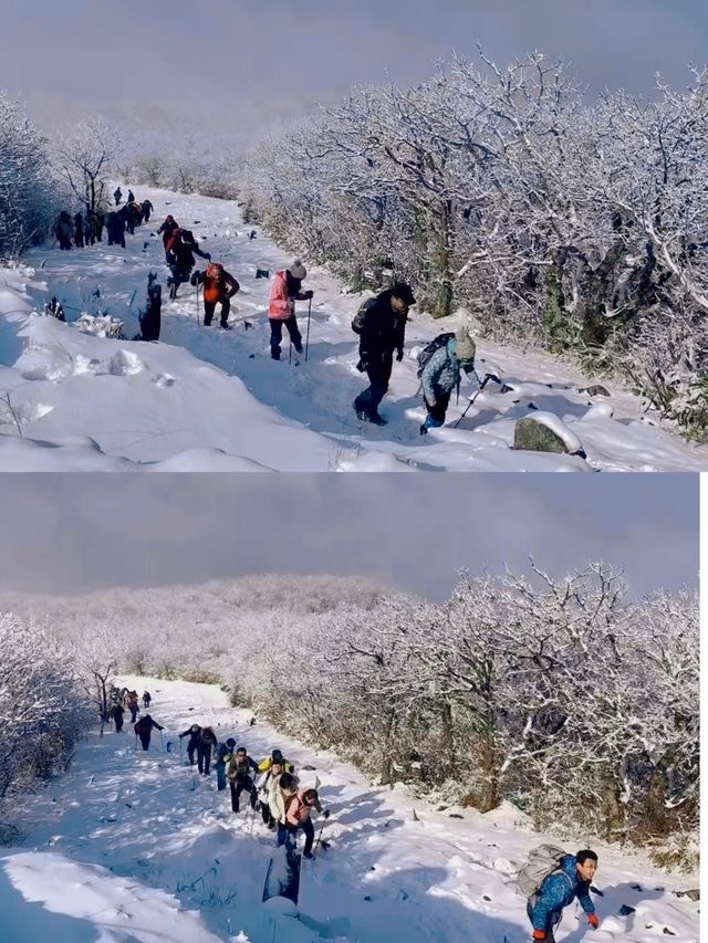 雪後徒步上龍王山，都不想下來了，原來是因為她