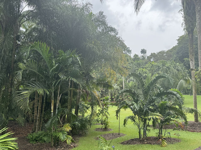 新加坡植物園不完全探索