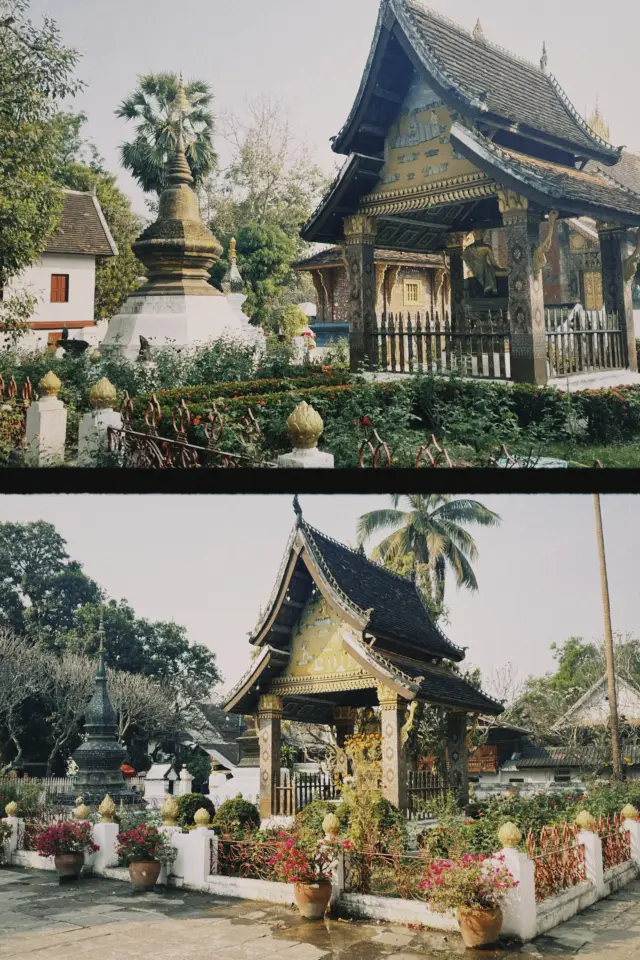 Luang Prabang DAY1 Guide | Morning is the best time to go out