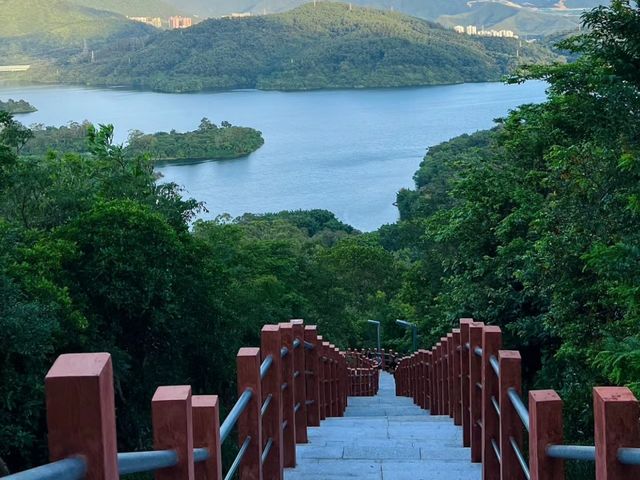 深圳淘金山｜綠道中的“千島湖”