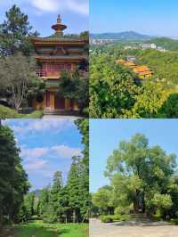 東方文化園 | 這麼美的景區假期都能包場？