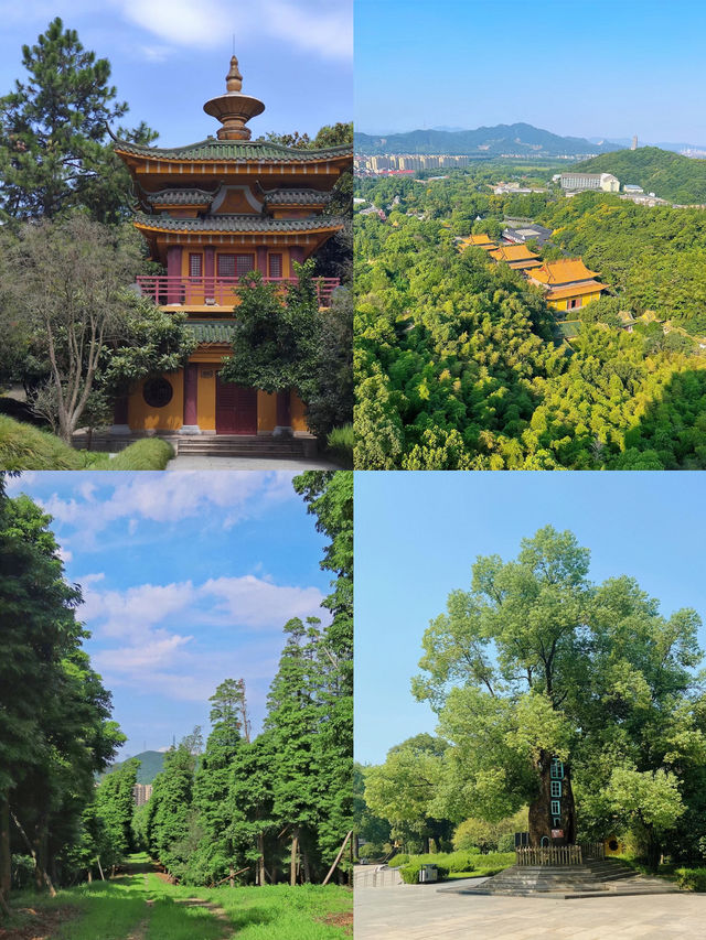東方文化園 | 這麼美的景區假期都能包場？