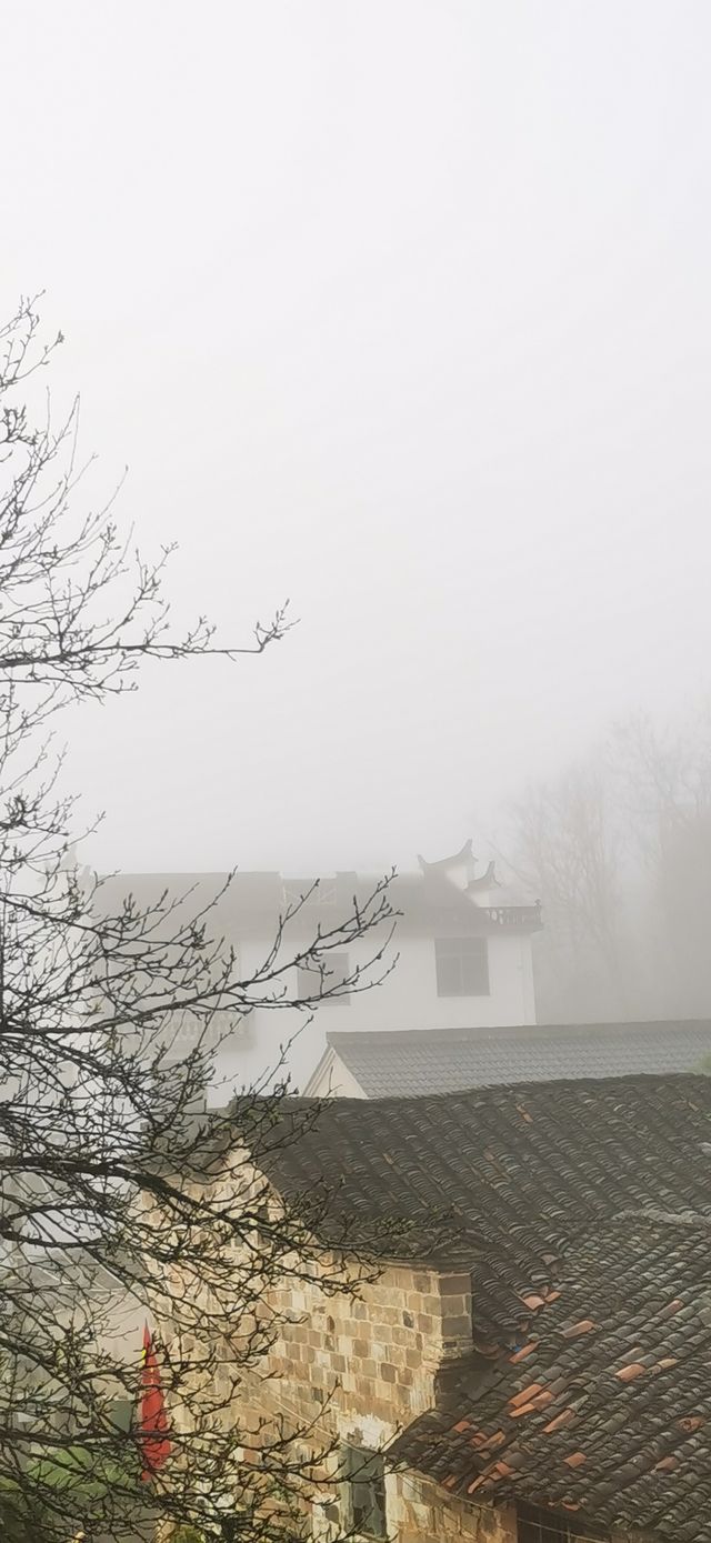 登春日之山，感受皖南春季的山水之美