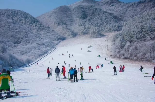 春節假期快來暢遊紫柏山冰雪之旅，不留遺憾