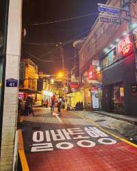漢南洞|梨泰院|首爾慢夜生活