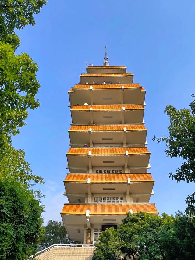 鵝嶺公園丨藏在重慶渝中區的小江南