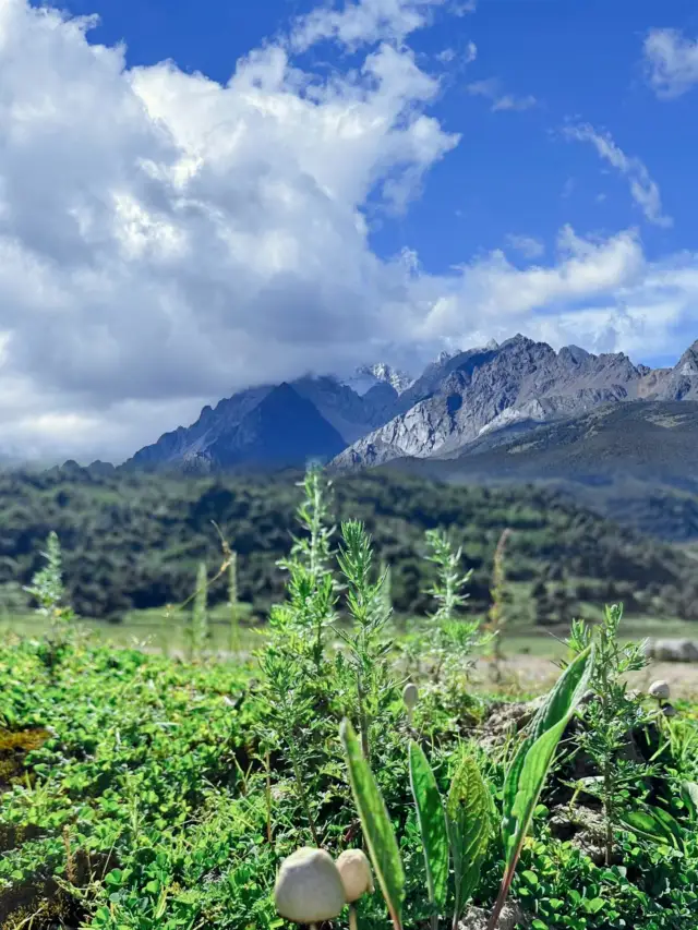 Lijiang offers a free, niche, and beautiful spot called Wenhai Village