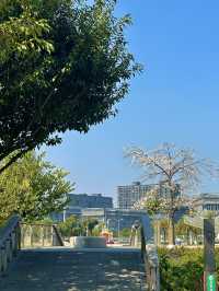 大自然氧吧文翰湖公園