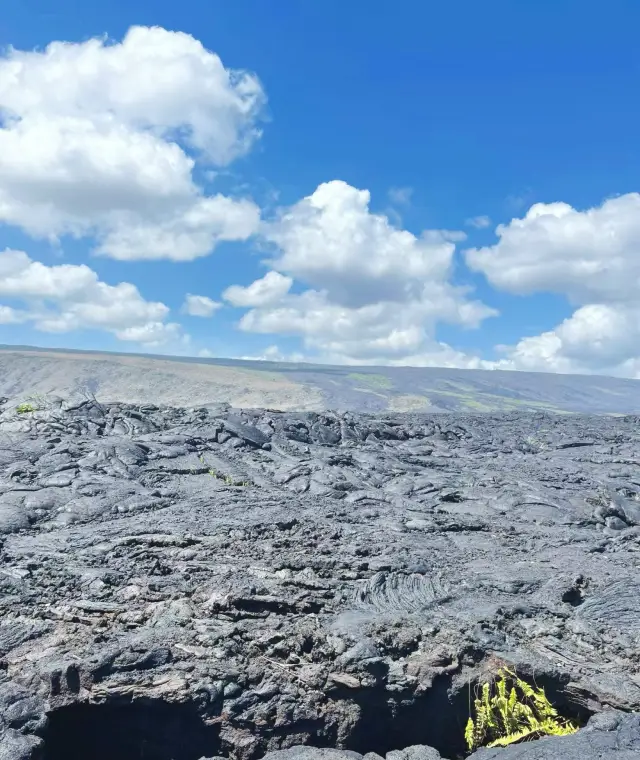 Hawaii Big Island Two-Day Tour