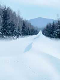 銀碗盛雪，共赴雪後鳳凰山