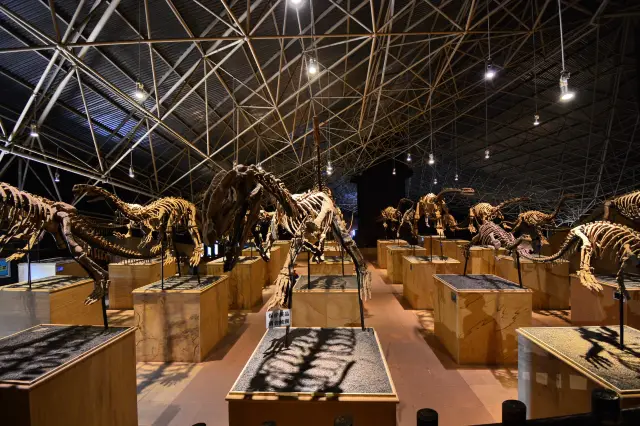 祿豐世界恐龍谷