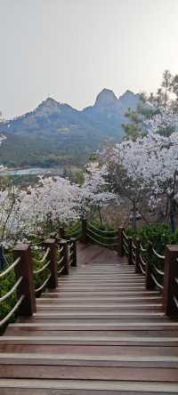 浮山公園越來越美咯