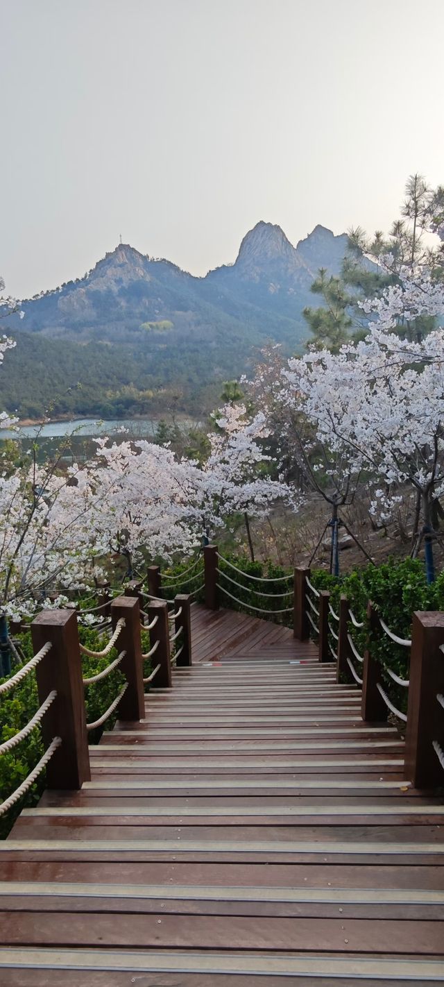 浮山公園越來越美咯
