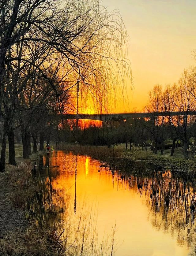 鄭州100個免費遊玩寶藏景點——蝶湖公園 鄭州100個免費遊玩寶藏景點——蝶湖公園
