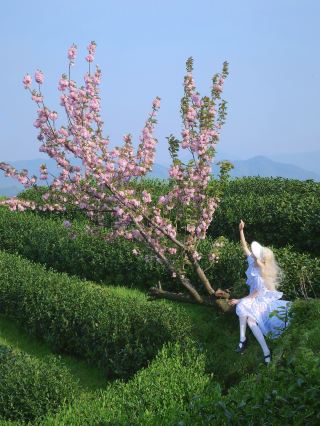 原以為西湖十里琅瑯夠美了，直到我去了……