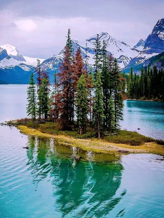 Blossom Time at Louise Lake Castle Canada✨😍