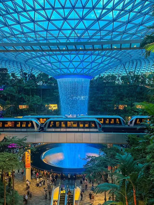 Singapore Changi Airport ✈️🇸🇬