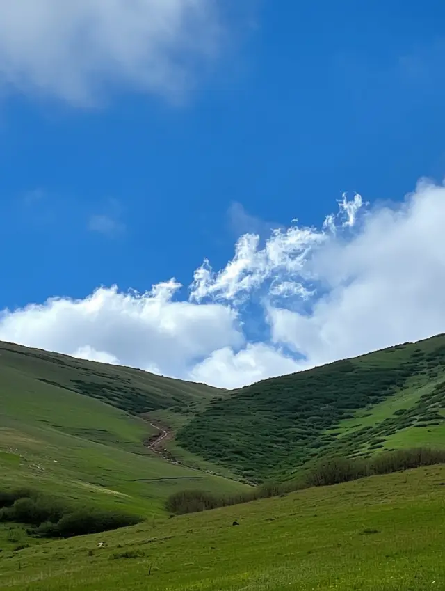 心に触れる探求：雲南の大山包での静寂な旅