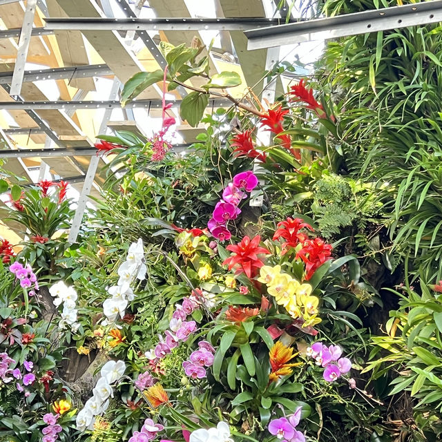 Indoor Botanical Garden in Taiyuan 