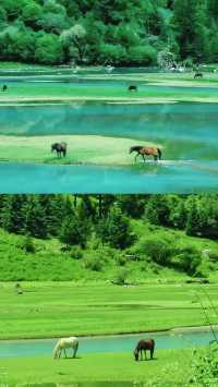 寶藍色的湖水，成群的牛羊，安靜的溪流，月亮湖你確定不來嗎？