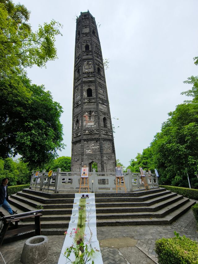聽勸，五一快來佘山天馬山園免費喝茶