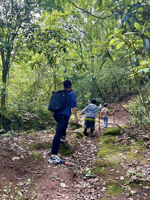 成都1h，穿越森林之門感受春和景明