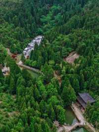 誰懂五月苍南玉苍山美到窒息，仿若仙境