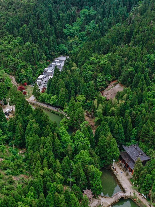 誰懂五月苍南玉苍山美到窒息，仿若仙境