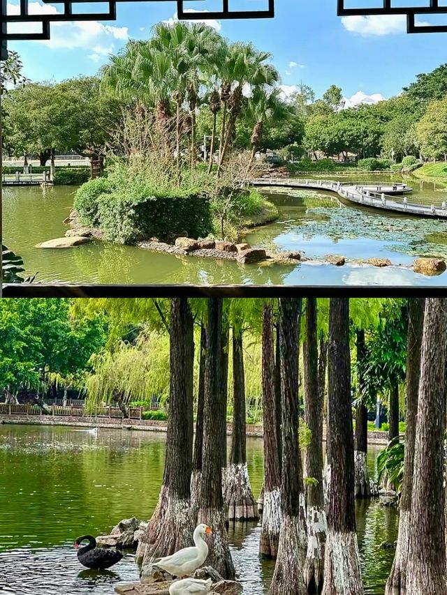 報告！這真的是風景如畫的地方
