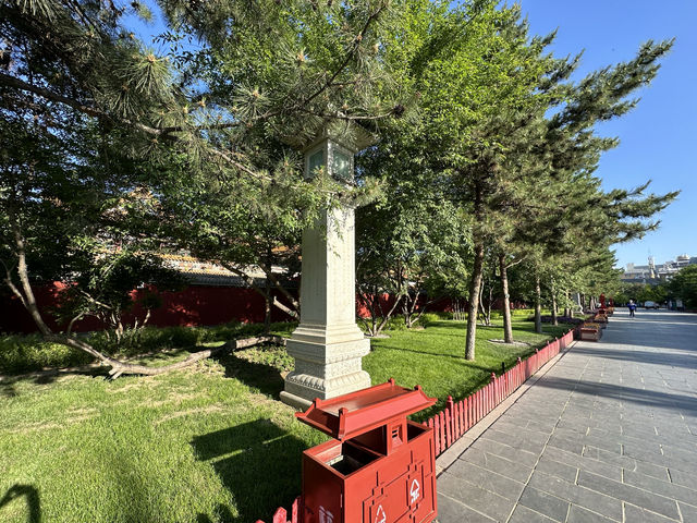 春回大召，陽光正好
