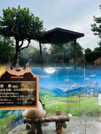 上海野生動物園超實用攻略
