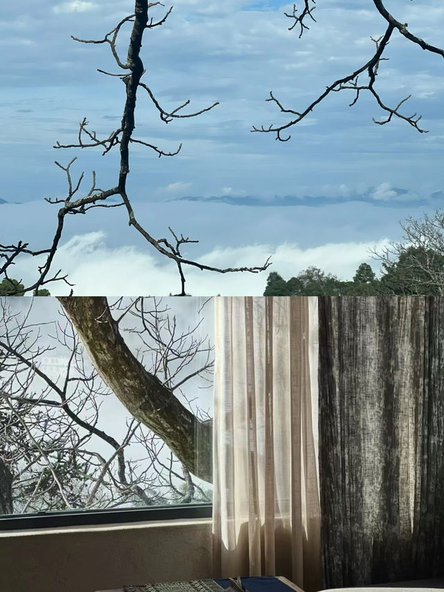 樹幾山舍