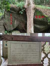 廣西桂平西山風景區